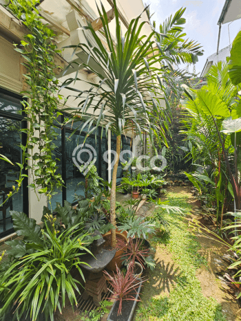 Hunian Elit LB 520m2 Siap Pakai Desain Elegan di Kemang, Jakarta Selatan Hunian Elit LB 520m2 Siap Pakai Desain Elegan di Kemang, Jakarta Selatan