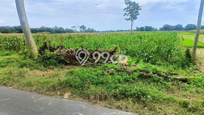 Lahan untuk Dijual Lokasi Tulung, Klaten Luas 976m2 SHM Lahan untuk Dijual Lokasi Tulung, Klaten Luas 976m2 SHM