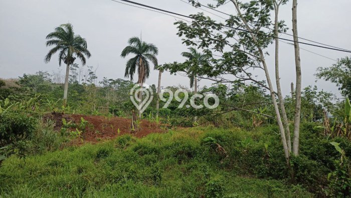 Tanah Area Berkembang di Padalarang, Luas 260000m², Lingkungan Asri, Akses Padalarang, Bandung, Bandung Tanah Area Berkembang di Padalarang, Luas 260000m², Lingkungan Asri, Akses Padalarang, Bandung, Bandung