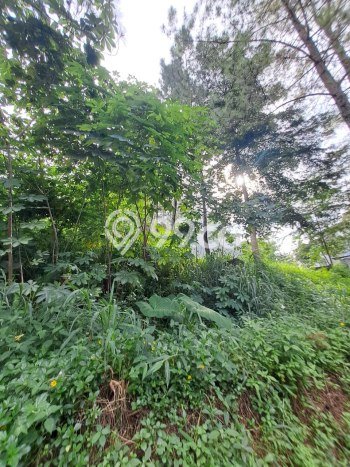 Tanah Kawasan Cigadung, Luas 155m2m², Status SHM, Akses Cigadung, Bandung, Bandung Tanah Kawasan Cigadung, Luas 155m2m², Status SHM, Akses Cigadung, Bandung, Bandung