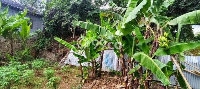 Dijual Tanah Lokasi Cigadung, Bandung Seluas 238m2 Dijual Tanah Lokasi Cigadung, Bandung Seluas 238m2