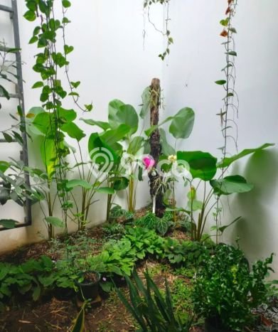 Dijual Rumah Minimalis Bagus Punya 2 KT di Arcamanik Bandung SHM Dijual Rumah Minimalis Bagus Punya 2 KT di Arcamanik Bandung SHM