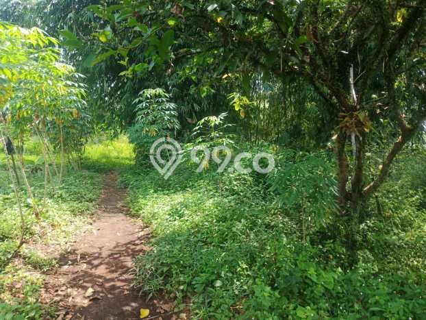 Kavling Tanah Dijual di Batujajar Bandung Barat Spesifikasi 10200m2 Kavling Tanah Dijual di Batujajar Bandung Barat Spesifikasi 10200m2