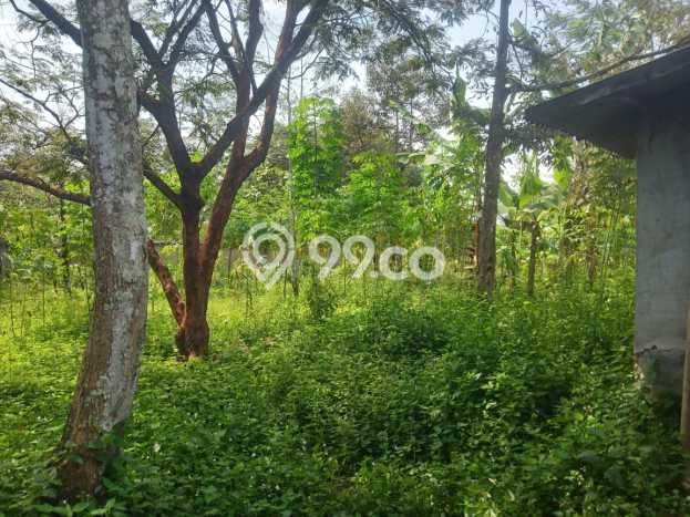 Kavling Tanah Dijual di Batujajar Bandung Barat Spesifikasi 10200m2 Kavling Tanah Dijual di Batujajar Bandung Barat Spesifikasi 10200m2