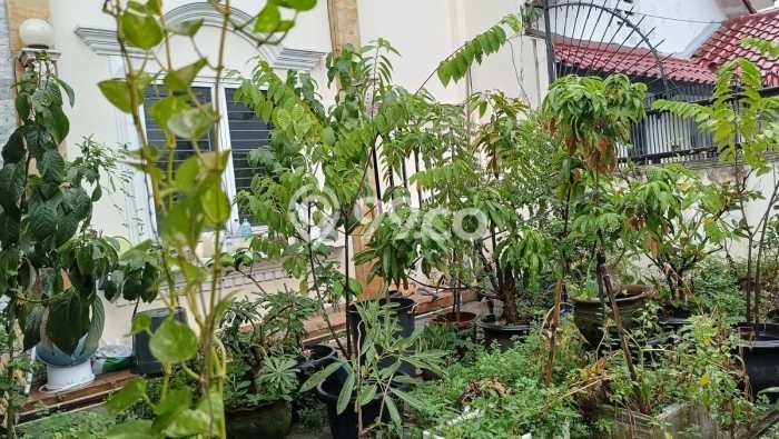 Rumah Elit Modern Tanpa Renovasi di Taman Meruya Jakarta Barat Rumah Elit Modern Tanpa Renovasi di Taman Meruya Jakarta Barat