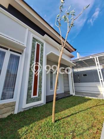 Rumah Sederhana Dijual di Klaten Tengah 2 Kamar dengan LT 66m2 Rumah Sederhana Dijual di Klaten Tengah 2 Kamar dengan LT 66m2