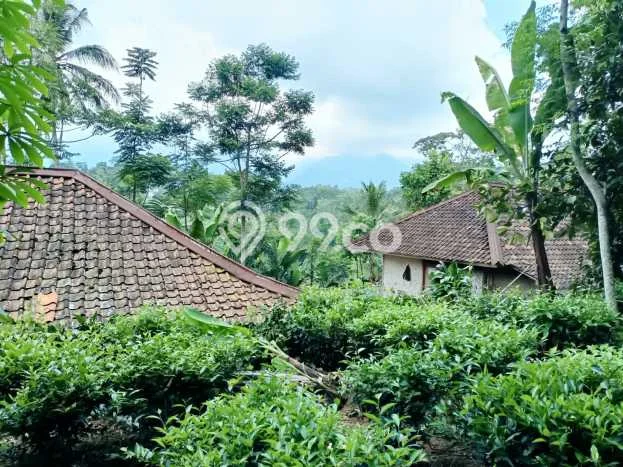 Kavling Tanah Dijual di Bojong Purwakarta Spesifikasi 709m2 Kavling Tanah Dijual di Bojong Purwakarta Spesifikasi 709m2