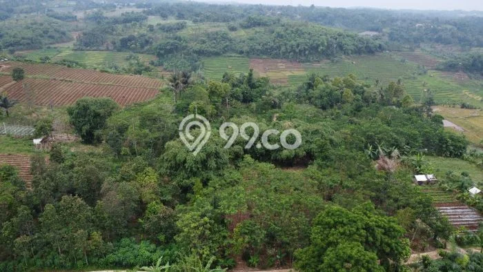 Tanah Dijual Lokasi Bojong, Purwakarta dengan Luas Tanah 1885m2 dan Status SHM Tanah Dijual Lokasi Bojong, Purwakarta dengan Luas Tanah 1885m2 dan Status SHM