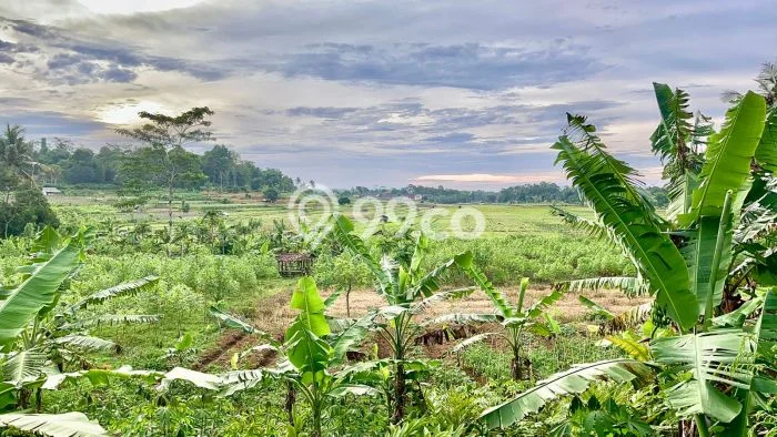 Lahan Investasi Lokasi Kiarapedes Purwakarta SHM Lahan Investasi Lokasi Kiarapedes Purwakarta SHM
