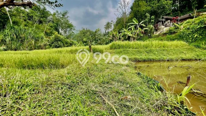 Tanah Strategis Dijual di Bojong Purwakarta 625m2 Tanah Strategis Dijual di Bojong Purwakarta 625m2