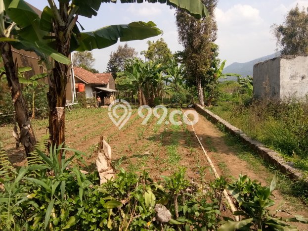 Tanah untuk Dijual Lokasi Wanayasa, Purwakarta Luas 1200m2 SHM Tanah untuk Dijual Lokasi Wanayasa, Purwakarta Luas 1200m2 SHM