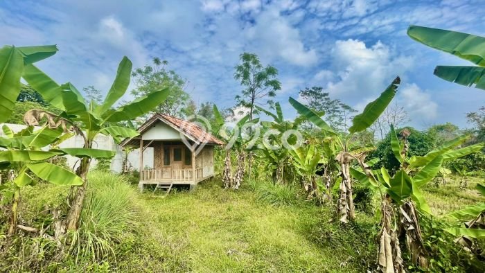 Lahan Kosong Dijual di Purwakarta dengan Area 1386m2 Lahan Kosong Dijual di Purwakarta dengan Area 1386m2