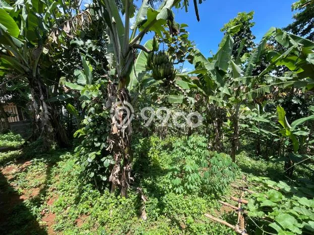 Tanah Dijual Lokasi Sumedang Selatan Sumedang SHM Tanah Dijual Lokasi Sumedang Selatan Sumedang SHM