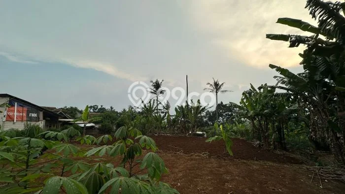 Lahan untuk Dijual Lokasi Ngamprah, Bandung Barat Luas 700m2 SHM Lahan untuk Dijual Lokasi Ngamprah, Bandung Barat Luas 700m2 SHM