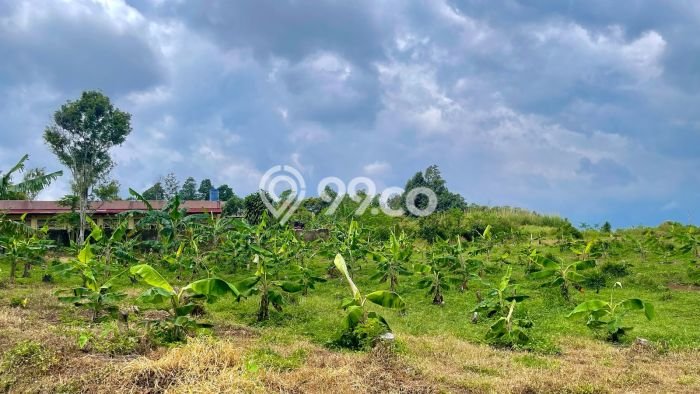 AREA PROSPEKTIF! Tanah Kawasan Darangdan, Luas 4901m2m², Akses Fasilitas Umum AREA PROSPEKTIF! Tanah Kawasan Darangdan, Luas 4901m2m², Akses Fasilitas Umum