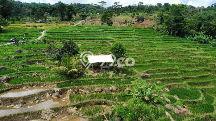 Tanah Komersial Dijual di Bojong Purwakarta 2741m2 Tanah Komersial Dijual di Bojong Purwakarta 2741m2