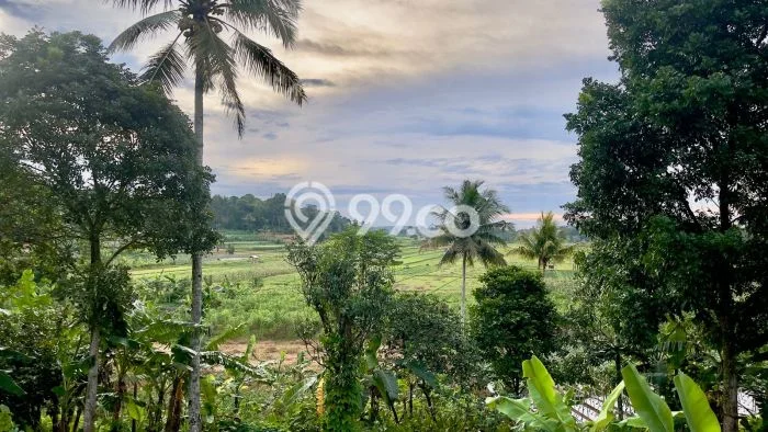Lahan Investasi Lokasi Kiarapedes Purwakarta SHM Lahan Investasi Lokasi Kiarapedes Purwakarta SHM