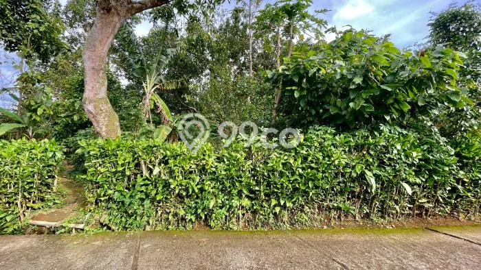 Tanah untuk Dijual di Bojong Purwakarta Luas 1424m2 Tanah untuk Dijual di Bojong Purwakarta Luas 1424m2