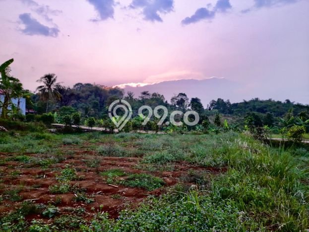 Tanah di Darangdan, Luas 1300m², Akses Jalan Raya Tanah di Darangdan, Luas 1300m², Akses Jalan Raya