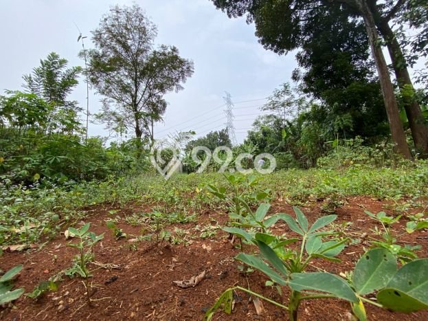 Lahan untuk Dijual Lokasi Bungursari, Purwakarta Luas 1005m2 SHM Lahan untuk Dijual Lokasi Bungursari, Purwakarta Luas 1005m2 SHM