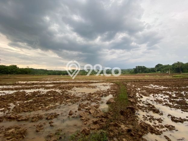 Lahan Dijual Lokasi Strategis di Purwakarta dengan Luas 10000m2 Lahan Dijual Lokasi Strategis di Purwakarta dengan Luas 10000m2