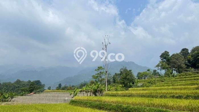 Tanah Dijual Lokasi Bojong Purwakarta SHM Tanah Dijual Lokasi Bojong Purwakarta SHM