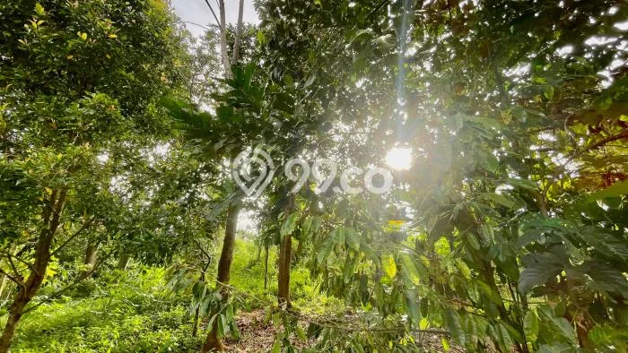 Tanah untuk Dijual di Bojong Purwakarta Luas 1424m2 Tanah untuk Dijual di Bojong Purwakarta Luas 1424m2