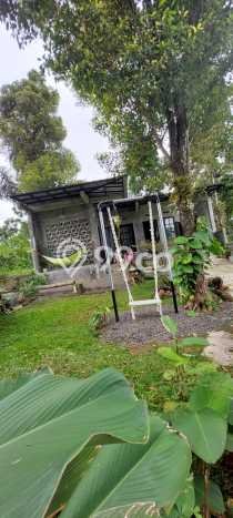 Dijual Rumah Strategis Bagus Punya 0 KT di Wanayasa Purwakarta - Dijual Rumah Strategis Bagus Punya 0 KT di Wanayasa Purwakarta -