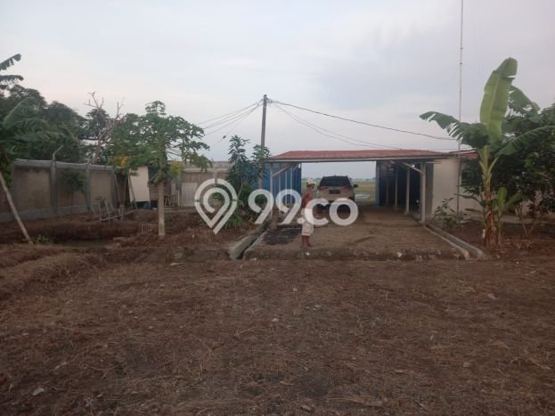 Lahan untuk Dijual di Blanakan Subang Luas 751m2 Lahan untuk Dijual di Blanakan Subang Luas 751m2
