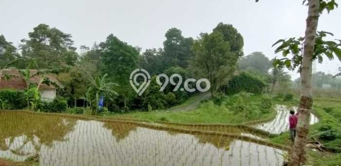 Kavling Tanah Dijual di Serangpanjang Subang Spesifikasi 1020m2 Kavling Tanah Dijual di Serangpanjang Subang Spesifikasi 1020m2