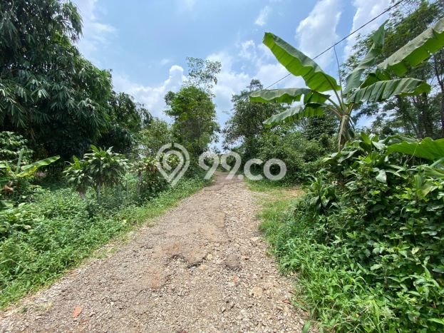 Tanah Kavling untuk Dijual di Bojong Purwakarta 1000m2 Tanah Kavling untuk Dijual di Bojong Purwakarta 1000m2