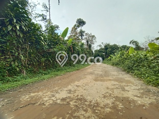 Kavling Tanah Dijual di Bojong Purwakarta Spesifikasi 1838m2 Kavling Tanah Dijual di Bojong Purwakarta Spesifikasi 1838m2
