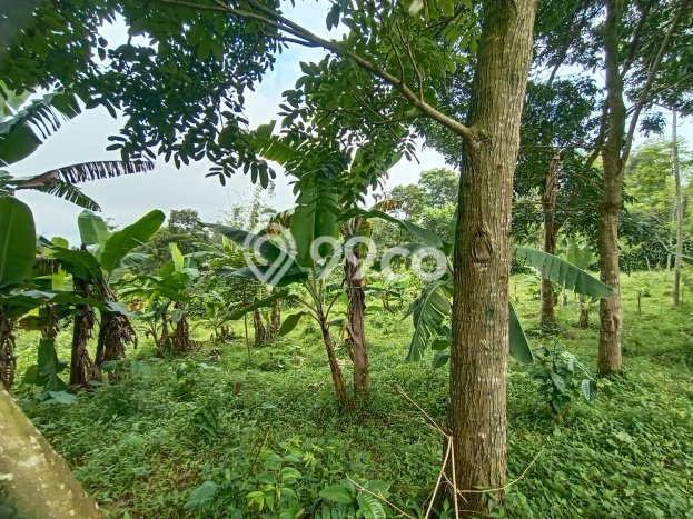 Kavling Tanah Dijual di Bojong Purwakarta Spesifikasi 1838m2 Kavling Tanah Dijual di Bojong Purwakarta Spesifikasi 1838m2