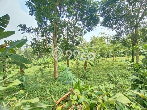 Kavling Tanah Dijual di Bojong Purwakarta Spesifikasi 1838m2 Kavling Tanah Dijual di Bojong Purwakarta Spesifikasi 1838m2