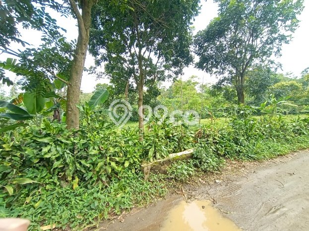 Kavling Tanah Dijual di Bojong Purwakarta Spesifikasi 1838m2 Kavling Tanah Dijual di Bojong Purwakarta Spesifikasi 1838m2