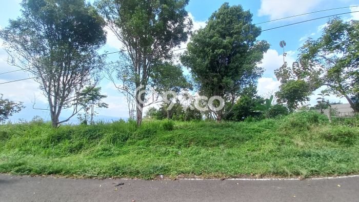 Kavling Tanah Dijual di Sumedang Selatan, Sumedang, Luas 4216m2 Area Strategis Kavling Tanah Dijual di Sumedang Selatan, Sumedang, Luas 4216m2 Area Strategis
