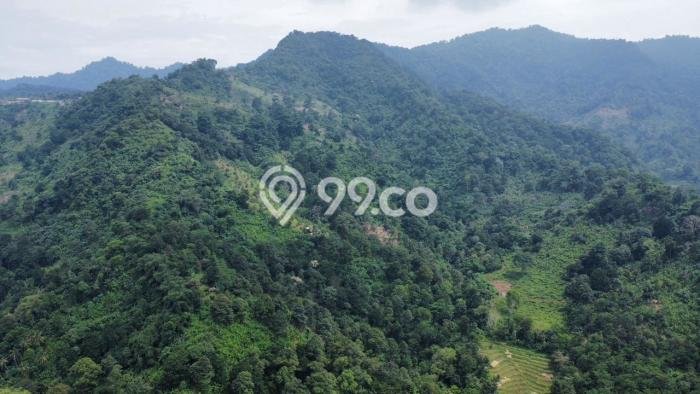 Lahan untuk Dijual di Tegalwaru Karawang Luas 33000m2 Lahan untuk Dijual di Tegalwaru Karawang Luas 33000m2