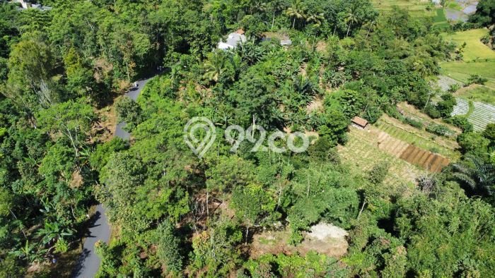 Tanah Lokasi Strategis Kawasan Bojong, Luas 480m², Akses ke Pusat Kota Tanah Lokasi Strategis Kawasan Bojong, Luas 480m², Akses ke Pusat Kota
