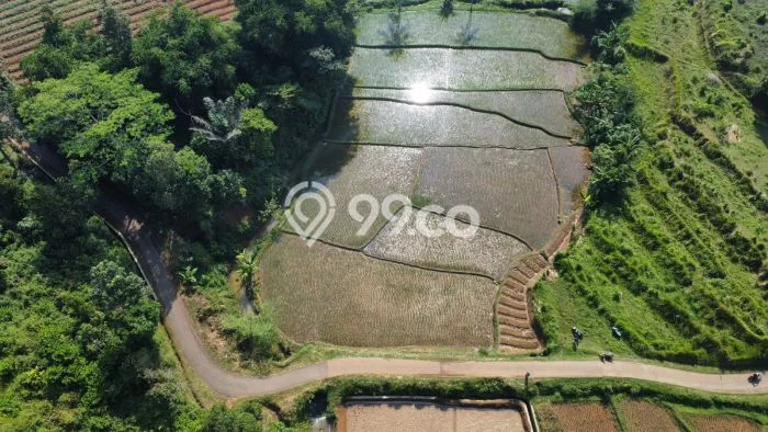Jarang Ada! Tanah di Darangdan Punya Luas 1675m2 SHM Jarang Ada! Tanah di Darangdan Punya Luas 1675m2 SHM