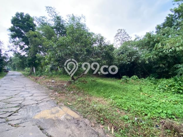 Lahan Dijual Lokasi Strategis di Purwakarta dengan Luas 10000m2 Lahan Dijual Lokasi Strategis di Purwakarta dengan Luas 10000m2