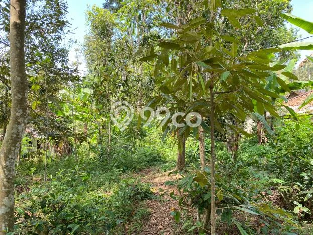 Jual Rumah Bagus Siap Huni LB 150m2 di Bojong, Purwakarta Jual Rumah Bagus Siap Huni LB 150m2 di Bojong, Purwakarta