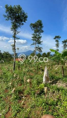 Tanah untuk Dijual di Sumedang Selatan Sumedang Luas 2774m2 Tanah untuk Dijual di Sumedang Selatan Sumedang Luas 2774m2