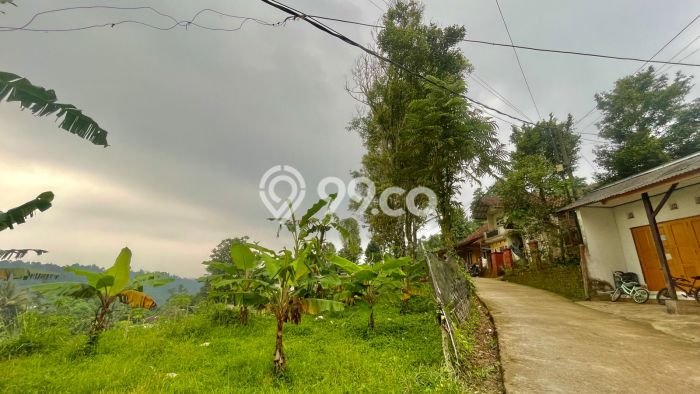 Tanah di Bojong, Purwakarta Luas 1300m2 Dijual Segera Tanah di Bojong, Purwakarta Luas 1300m2 Dijual Segera