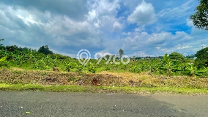 AREA PROSPEKTIF! Tanah Kawasan Darangdan, Luas 4901m2m², Akses Fasilitas Umum AREA PROSPEKTIF! Tanah Kawasan Darangdan, Luas 4901m2m², Akses Fasilitas Umum