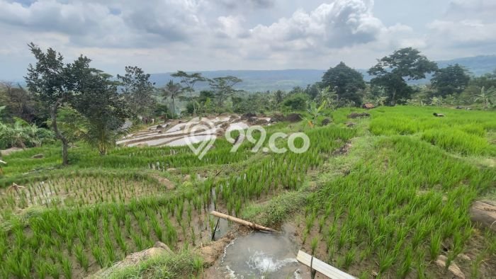Tanah Komersial Dijual di Bojong Purwakarta 2741m2 Tanah Komersial Dijual di Bojong Purwakarta 2741m2