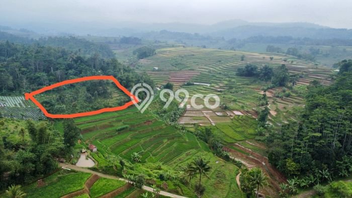 Tanah Dijual Lokasi Darangdan, Purwakarta Luas 2392m2 Legalitas Aman Tanah Dijual Lokasi Darangdan, Purwakarta Luas 2392m2 Legalitas Aman