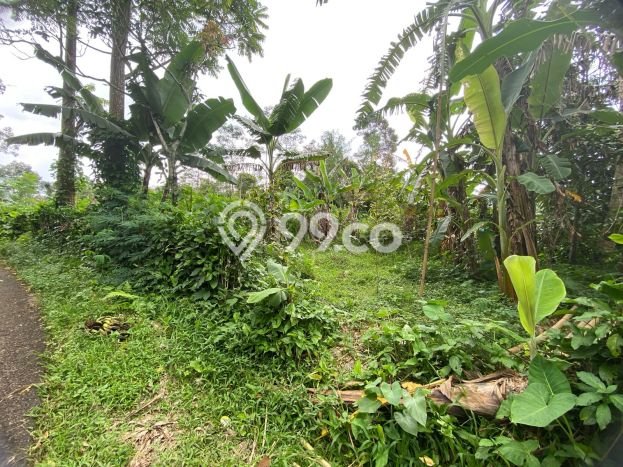 Tanah di Wanayasa, Luas 1275m2m², Area Strategis, Kawasan Nyaman, Kontur Datar Tanah di Wanayasa, Luas 1275m2m², Area Strategis, Kawasan Nyaman, Kontur Datar