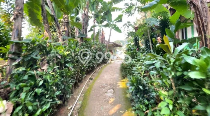 Tanah di Bojong, Purwakarta Luas 4493m2 Dijual Segera Tanah di Bojong, Purwakarta Luas 4493m2 Dijual Segera