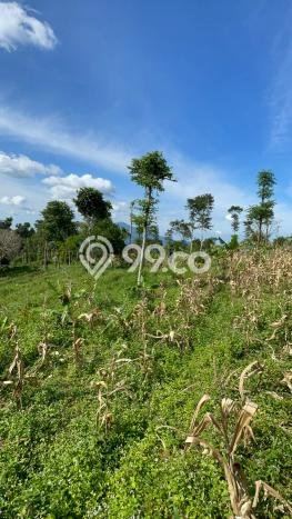 Tanah untuk Dijual di Sumedang Selatan Sumedang Luas 2774m2 Tanah untuk Dijual di Sumedang Selatan Sumedang Luas 2774m2