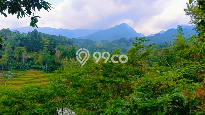 Tanah Kawasan Bojong, Luas 2391m2m², Kawasan Bisnis Tanah Kawasan Bojong, Luas 2391m2m², Kawasan Bisnis